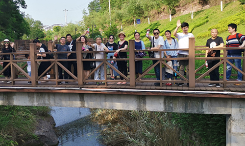 1556519779873502.jpg 3.jpg