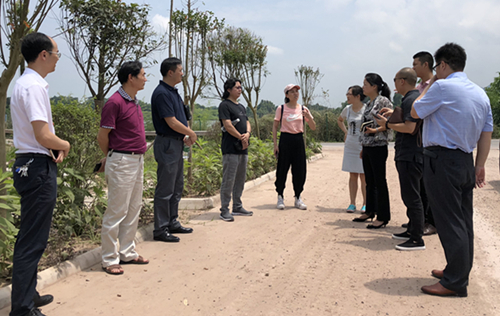 1530417912123324.jpg 6666.jpg